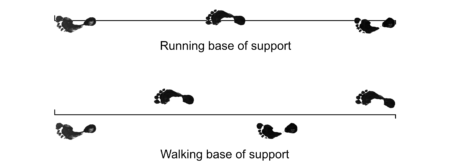 running support v walking support 